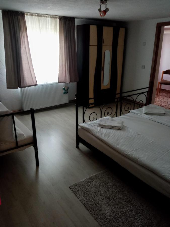 Hôtel Casa Iuliana à Subcetate  Extérieur photo